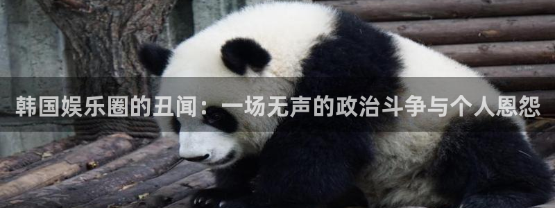 卧龙娱乐：韩国娱乐圈的丑闻：一场无声的政治斗争与个人恩怨