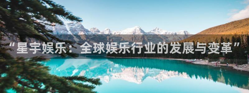 卧龙娱乐登录入口：“星宇娱乐：全球娱乐行业的发展与变革”