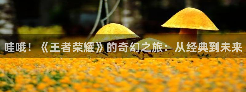 卧龙娱乐怎么样：哇哦！《王者荣耀》的奇幻之旅：从经典到未来