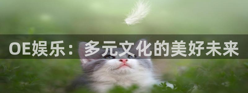 卧龙娱乐怎么样：OE娱乐：多元文化的美好未来