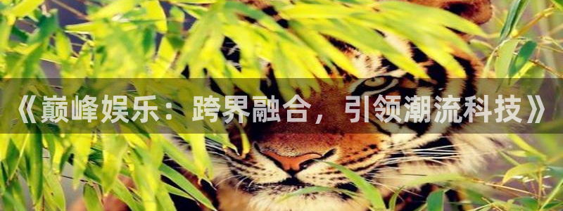 卧龙娱乐：《巅峰娱乐：跨界融合，引领潮流科技》