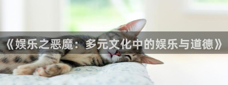 卧龙娱乐怎么样：《娱乐之恶魔：多元文化中的娱乐与道德》