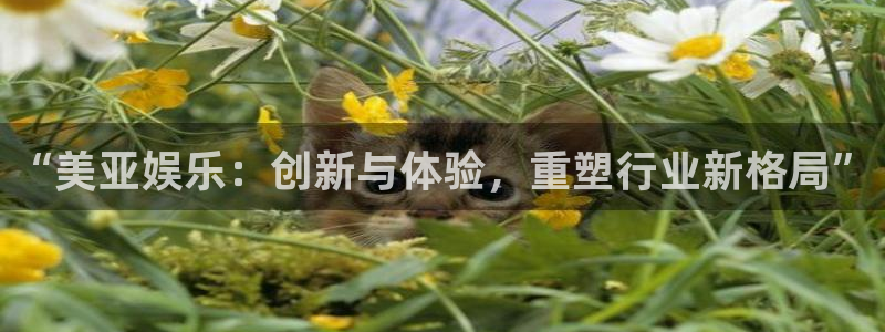 卧龙娱乐：“美亚娱乐：创新与体验，重塑行业新格局”